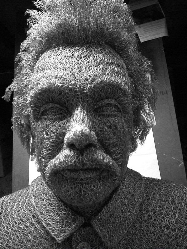 chicken-wire-portrait (2) chicken-wire-portrait (2)