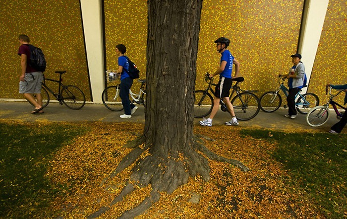 bicycle-record (16) bicycle-record (16)