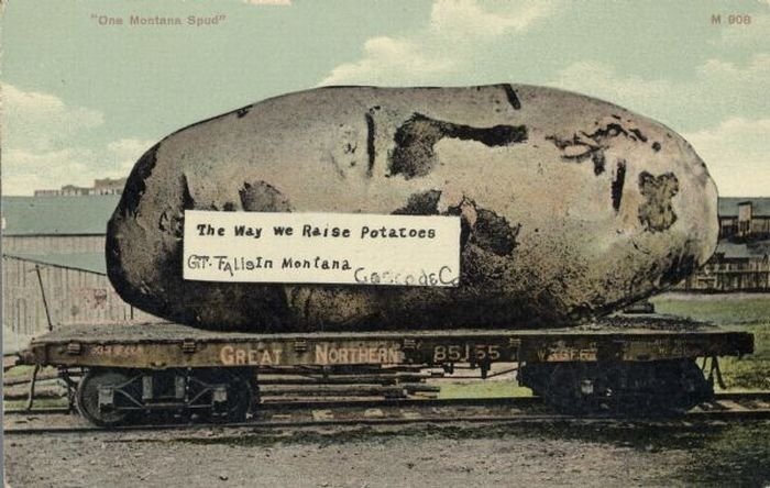 tall_tale_postcards_22 tall_tale_postcards_22
