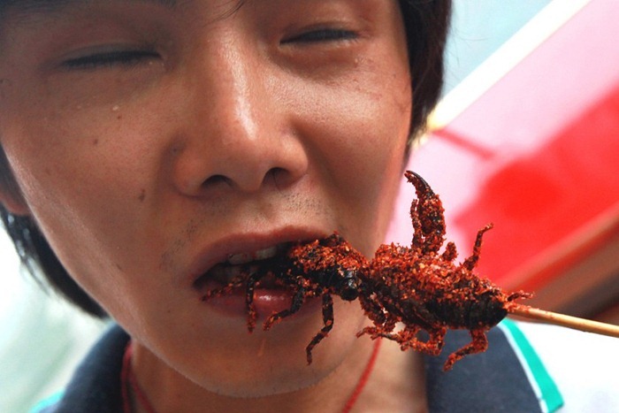 food-as-insects (7) food-as-insects (7)