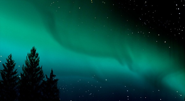 aurora aurora