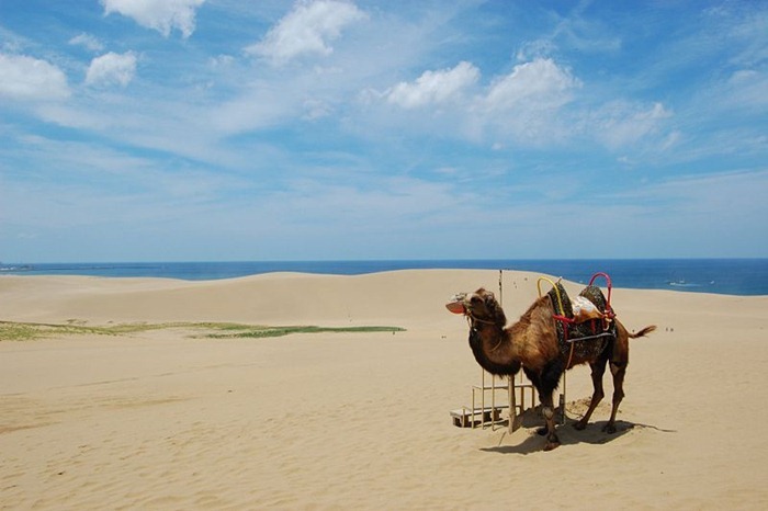 tottori-sand-dunes1