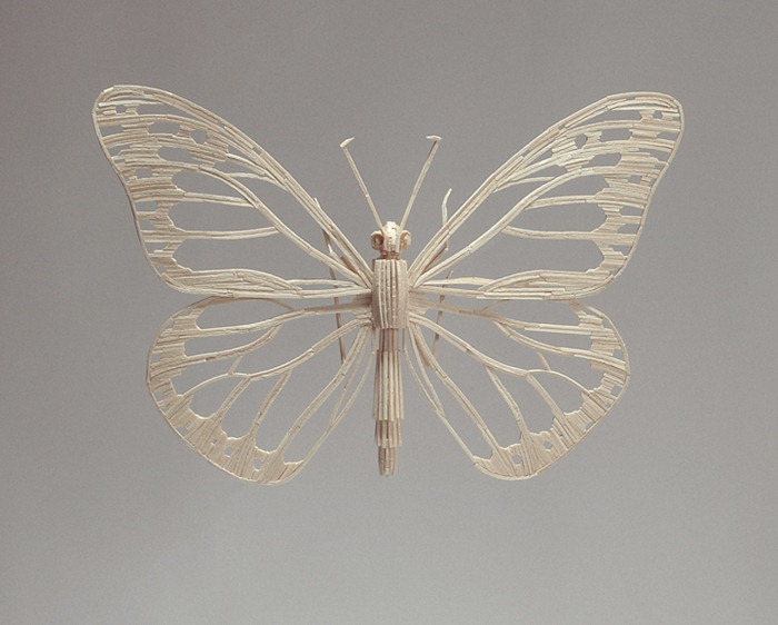 matchstick-insects8 matchstick-insects8