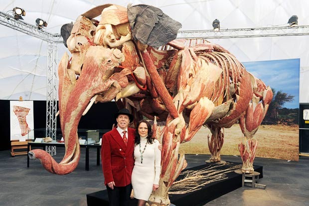 body-world-animals7 body-world-animals7