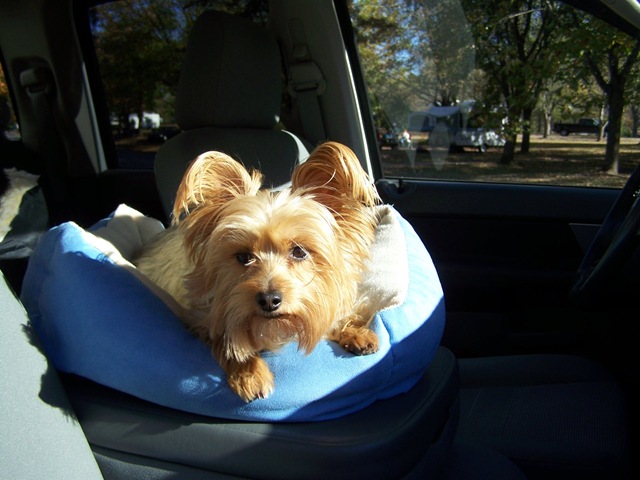 [20100572.jpg]