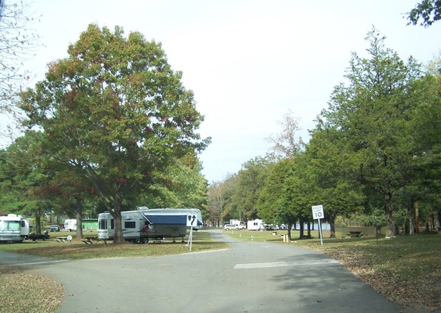 [20101152.jpg]