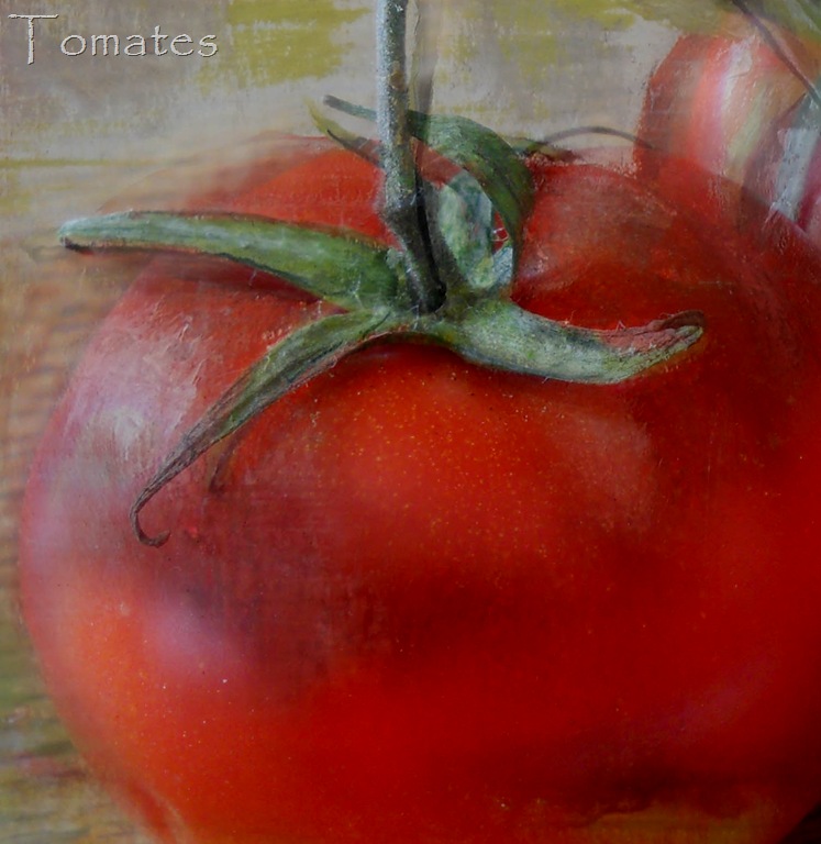 [tomates 2011 copie[31].jpg]