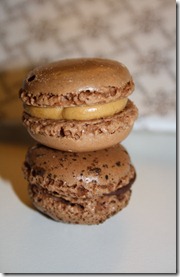 IMG_4595 IMG_4595
