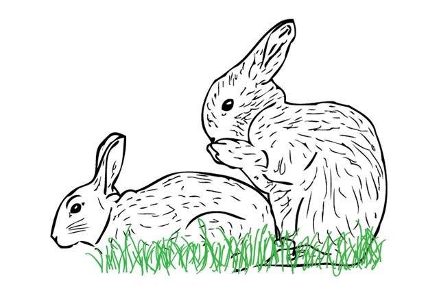 [HumpingBunnies_EXT[6].jpg]