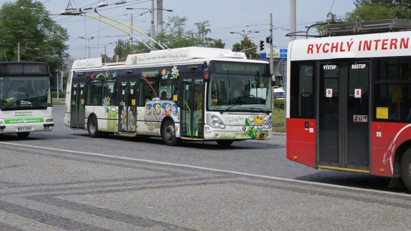 DSC09175.jpg