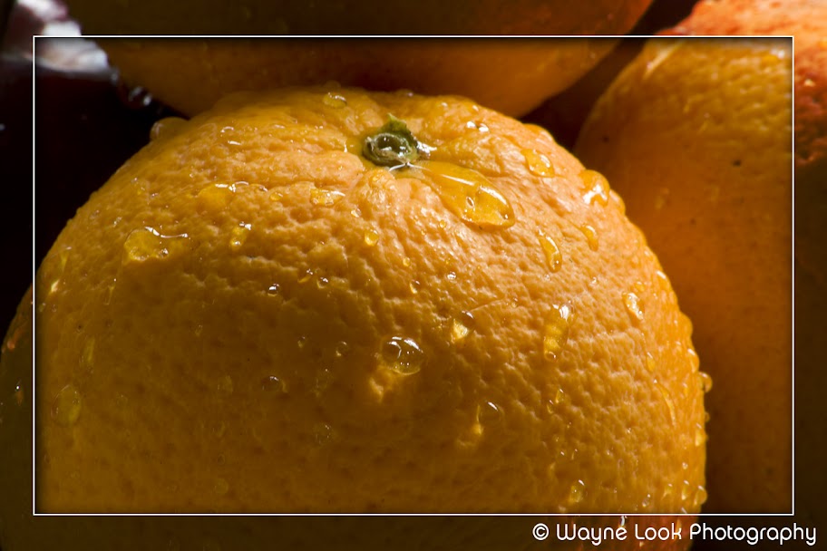 IMAGE: http://lh3.ggpht.com/_a37qev9eV20/S74v5N2keZI/AAAAAAAAAag/YQOwY4puE38/s912/IMG_8464.jpg