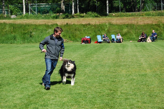 [Sandefjord 21.6 111[3].jpg]