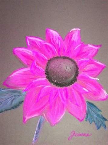 [sunflowerPINK3.jpg]