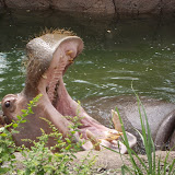 Zoo