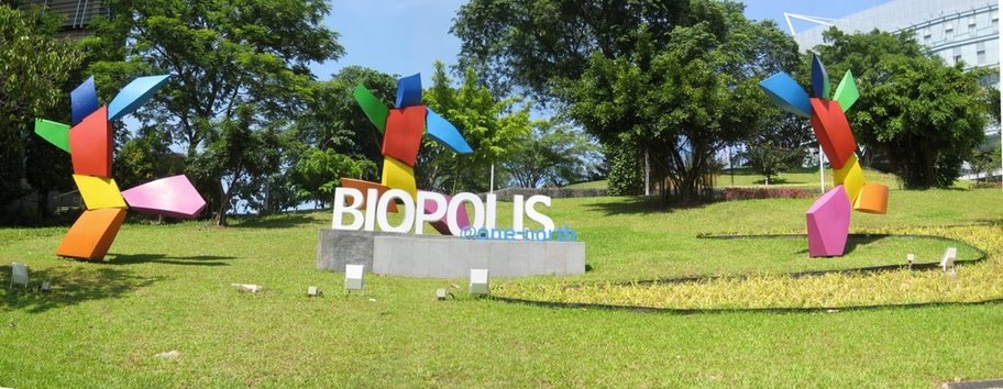 [View BIOPOLIS Sign[2].jpg]