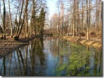 risorgiva_a