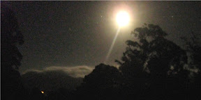 Night vision This is the best shot I could get
