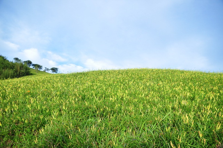 [20100824 (202)_resize[3].jpg]