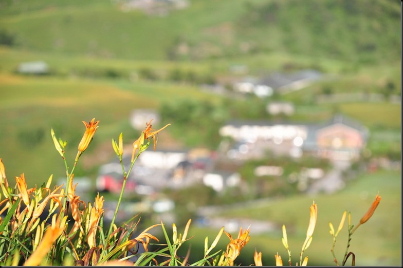 20100824 (551)_resize