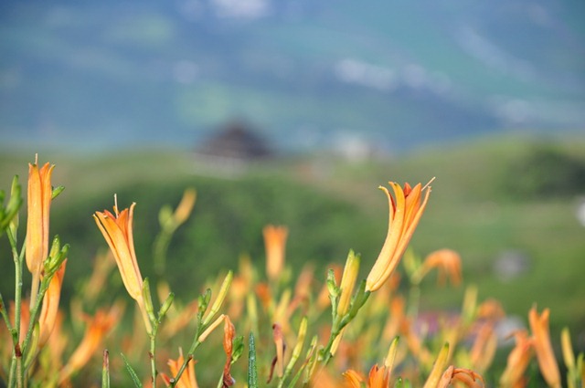 [20100824577_resize3.jpg]