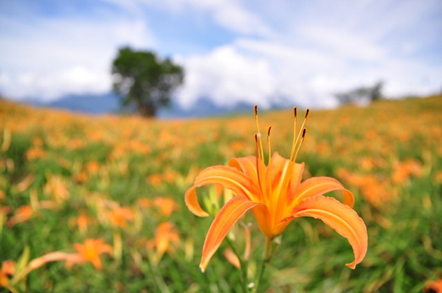 [20100824844_resize3.jpg]