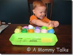 IMG_4713 IMG_4713