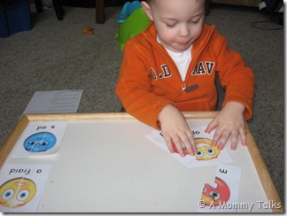 IMG_7981 IMG_7981