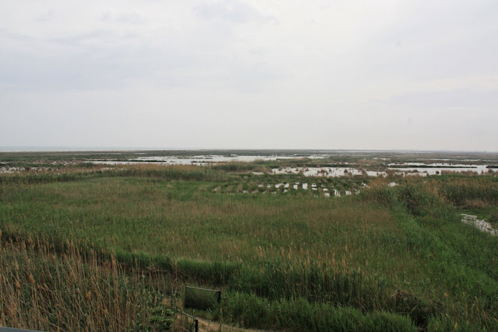 Uitzicht uit de toren