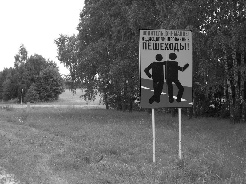 Paveikslėlis
