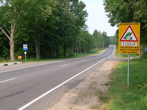 Paveikslėlis