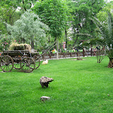 yesilkoy-rone-park3.jpg
