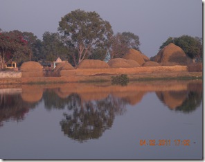 DSCN3703 DSCN3703