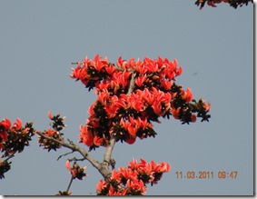 DSCN3874 DSCN3874