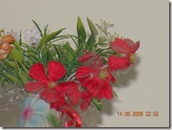 DSCN1553 DSCN1553