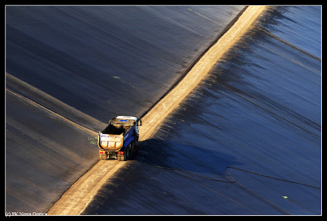 079Suzana Čotar.jpg