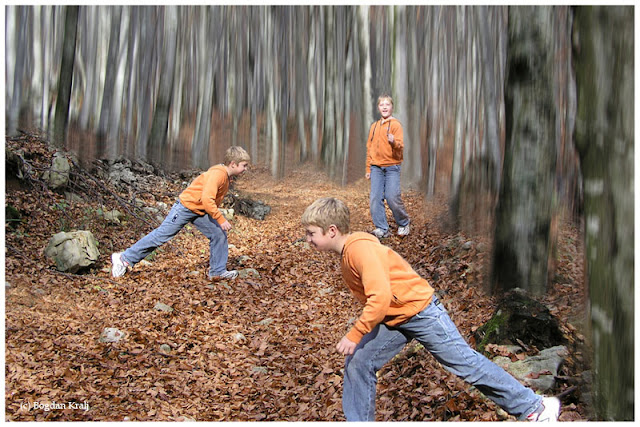 2N_Kralj Bogdan_Zmaga.jpg