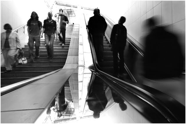 čotar_suzana_predstavitev 9.jpg