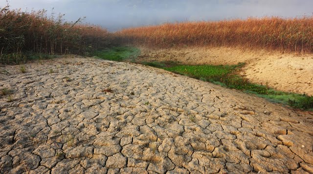 D_Milos_Princic_No H2O.jpg