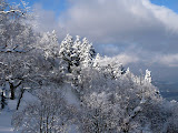P1030544.JPG