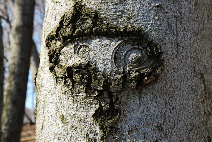 DSC_0063.JPG