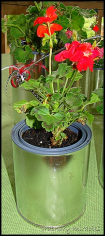 flower pot 2