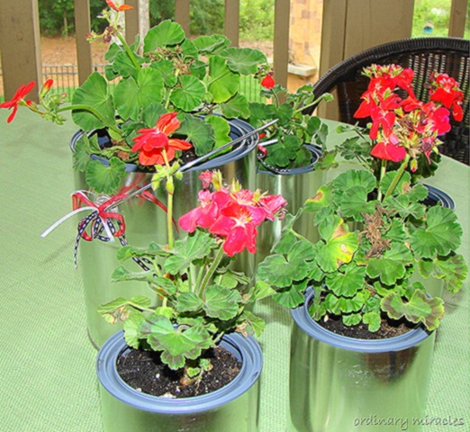 [flower pots[7].jpg]