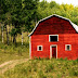 896_9656_orton.jpg