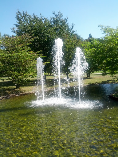 Fountains Alme Park