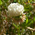 P6052522