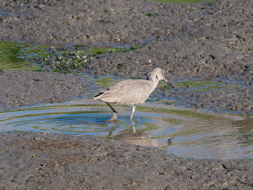 P2124657