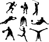 nuevas titulaciones deportivas en p&aacute;del 2011 articulo
