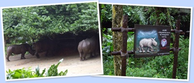 View zoo5