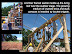MPAC timber frame and living roof