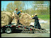 MPAC round bales unloaded